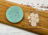 Monstera Plant Cookie Embosser